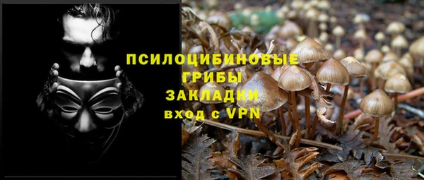ешки Богородицк